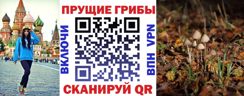 hydra ссылки Нижний Ломов Псилоцибиновые грибы Psilocybe